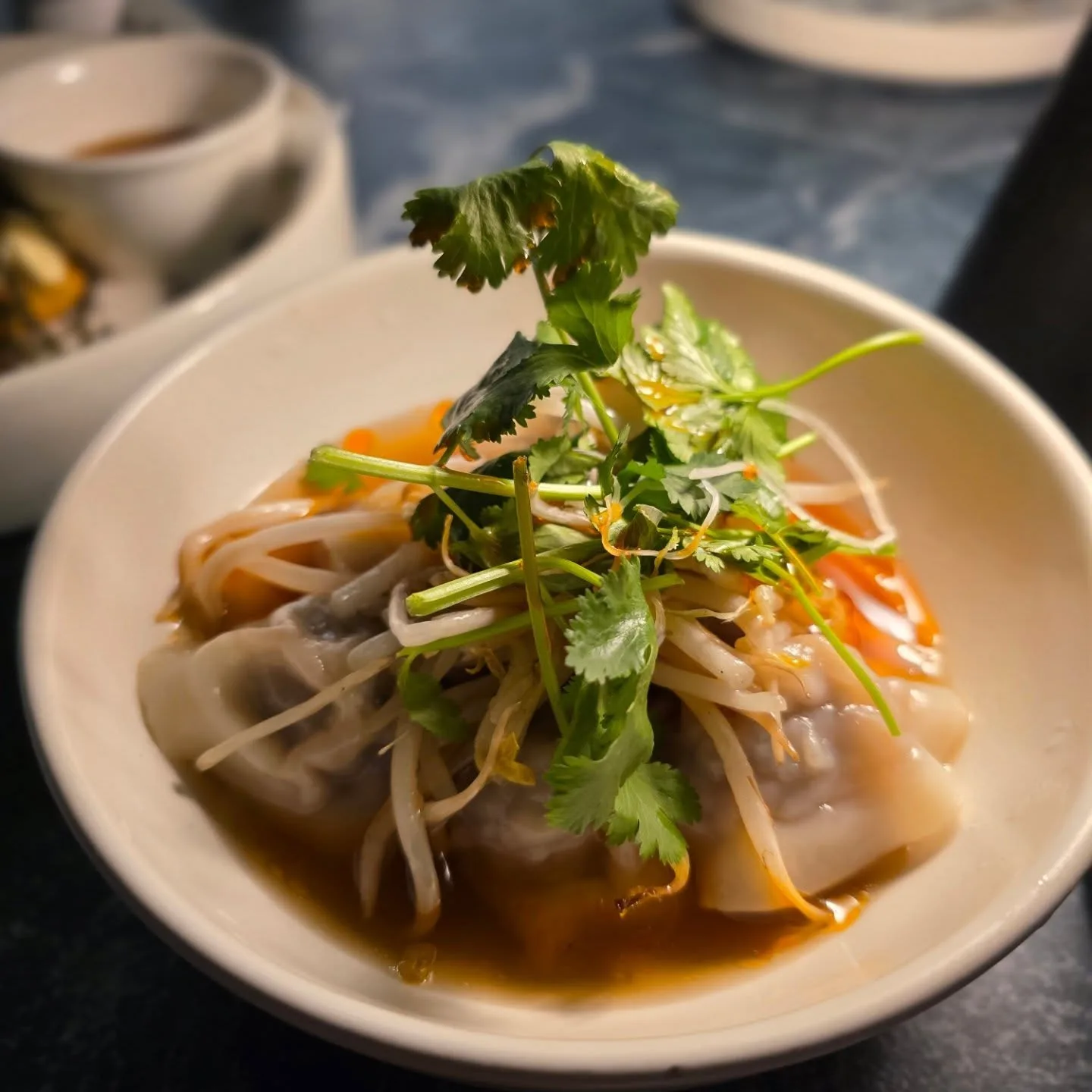 Beef Dumplings