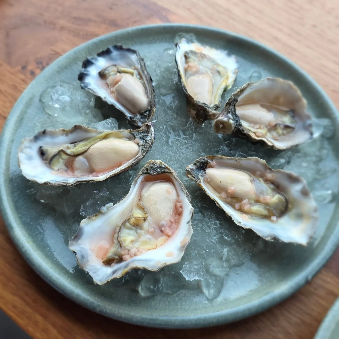 Sydney rock oysters
