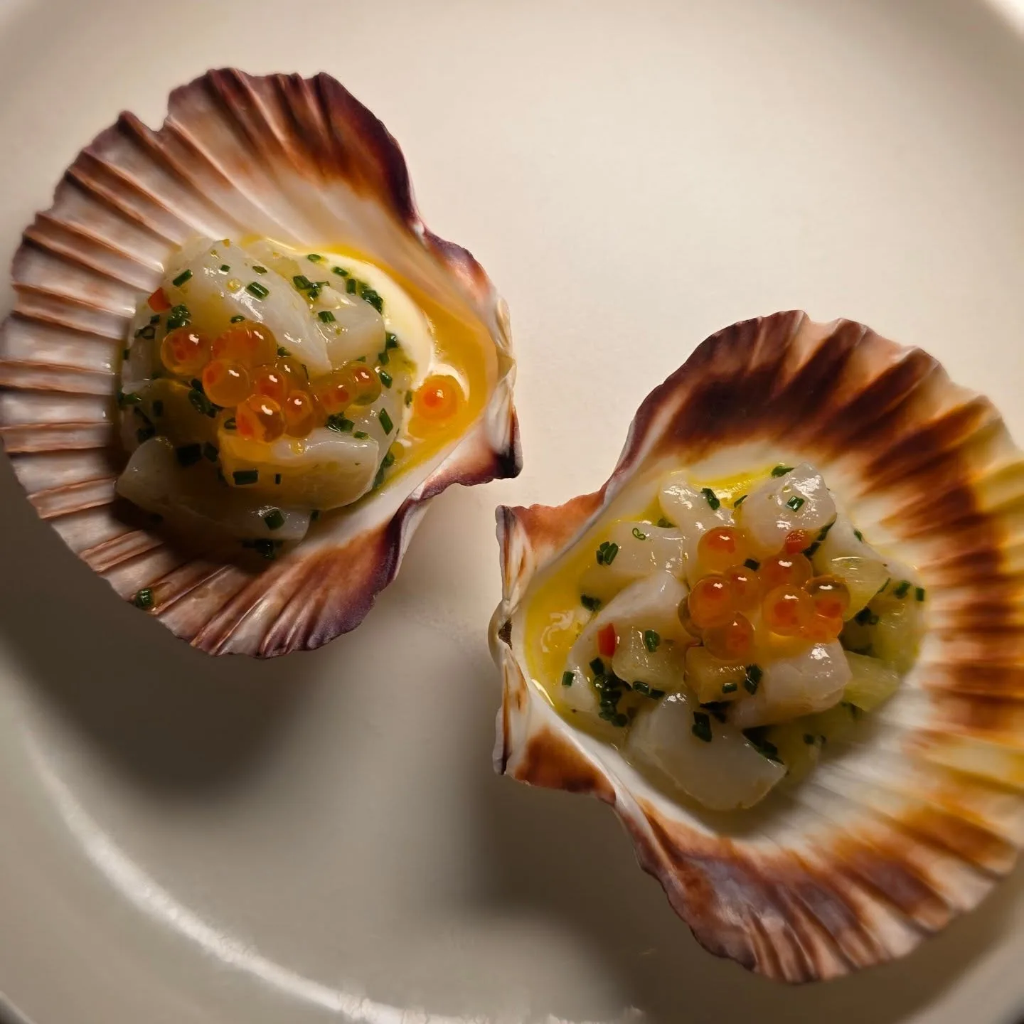 Scallops